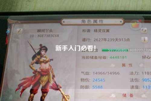 新手入門必看！