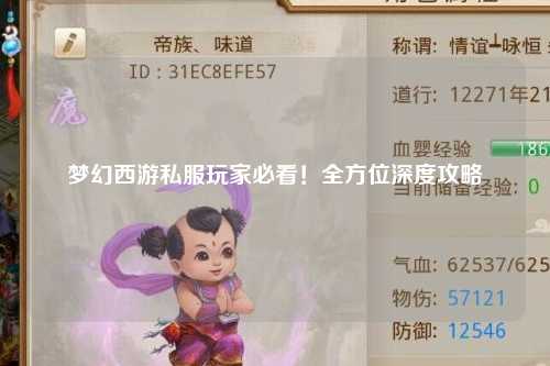 夢(mèng)幻西游私服玩家必看！全方位深度攻略