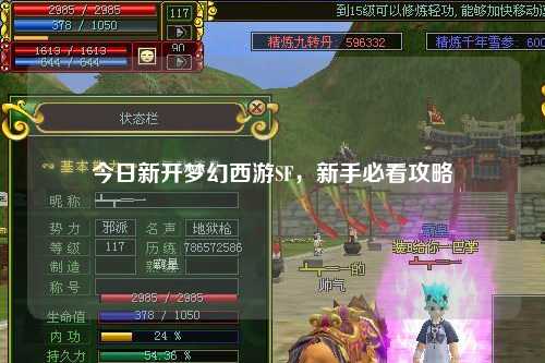 今日新開夢幻西游SF，新手必看攻略