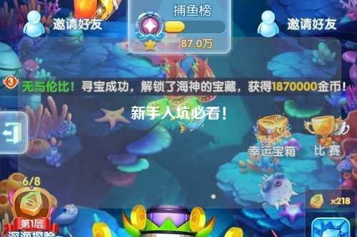 新手入坑必看！