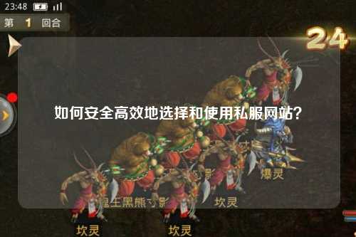 如何安全高效地選擇和使用私服網站？