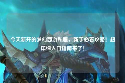 今天新開(kāi)的夢(mèng)幻西游私服，新手必看攻略！超詳細(xì)入門指南來(lái)了！